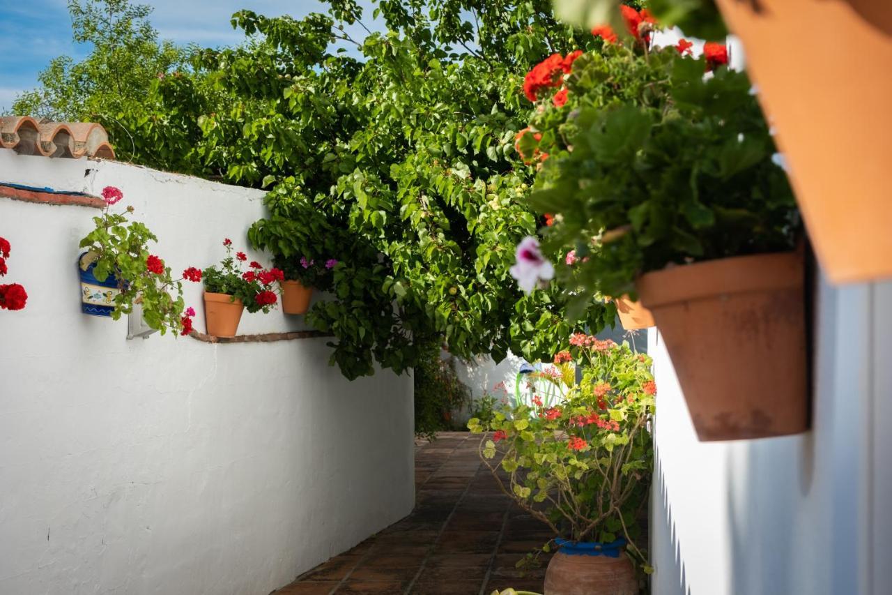 Hostal Cabo Roche Conil De La Frontera Exteriér fotografie